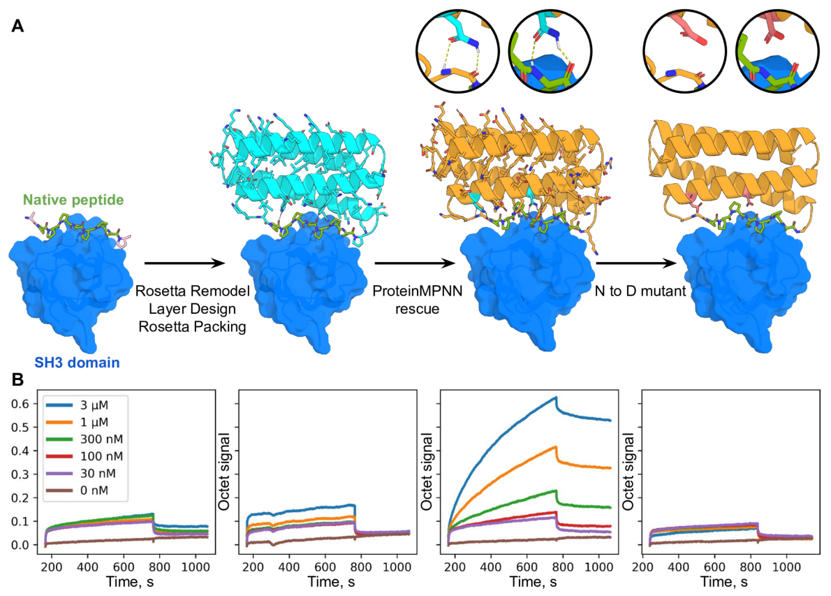 Protein design using MPNN